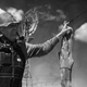 Photo (basically depicting me, standing beside the fence I built with my bare hands) credit: AP